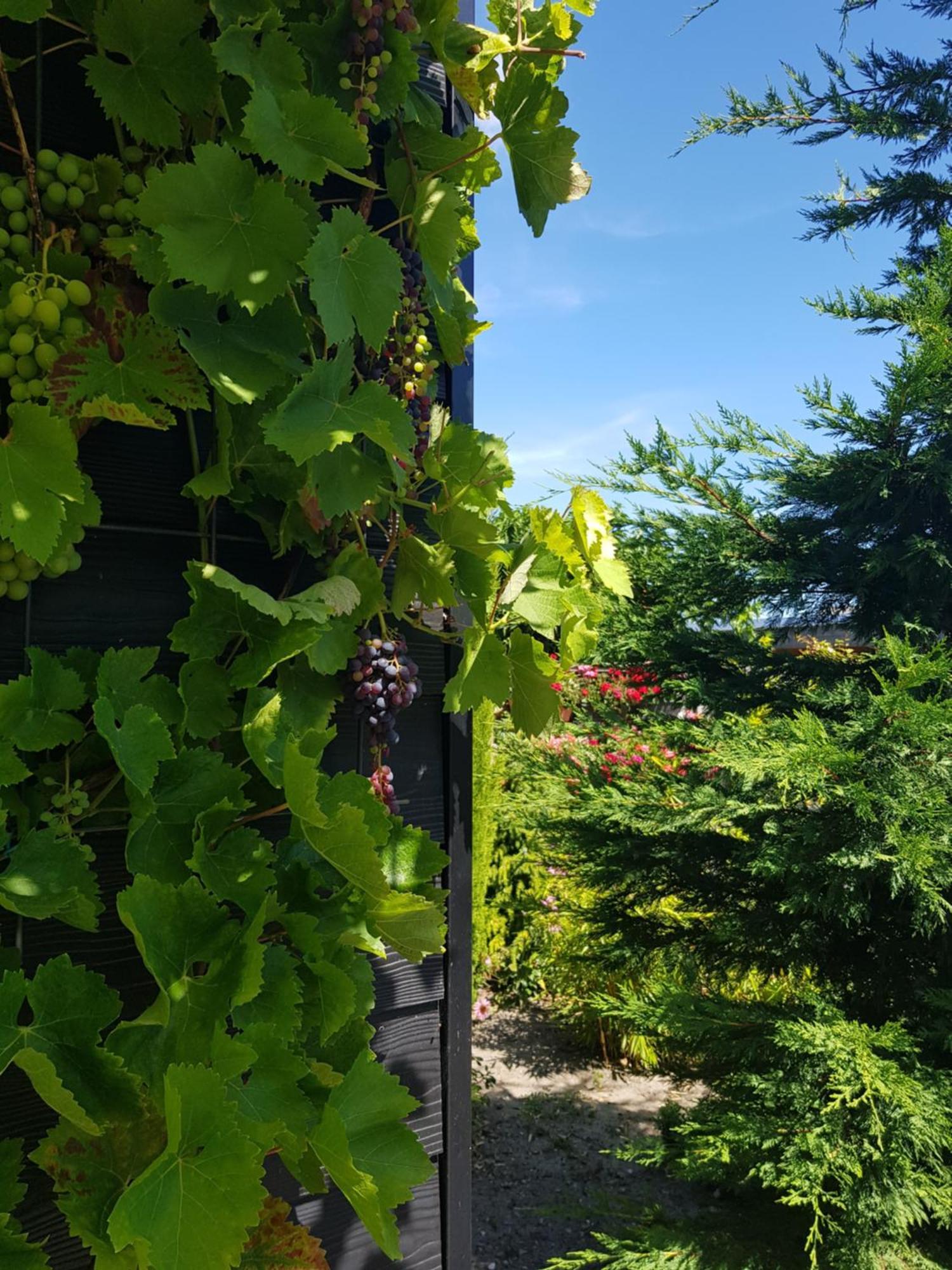 B&B Welkom Zierikzee Ruang foto