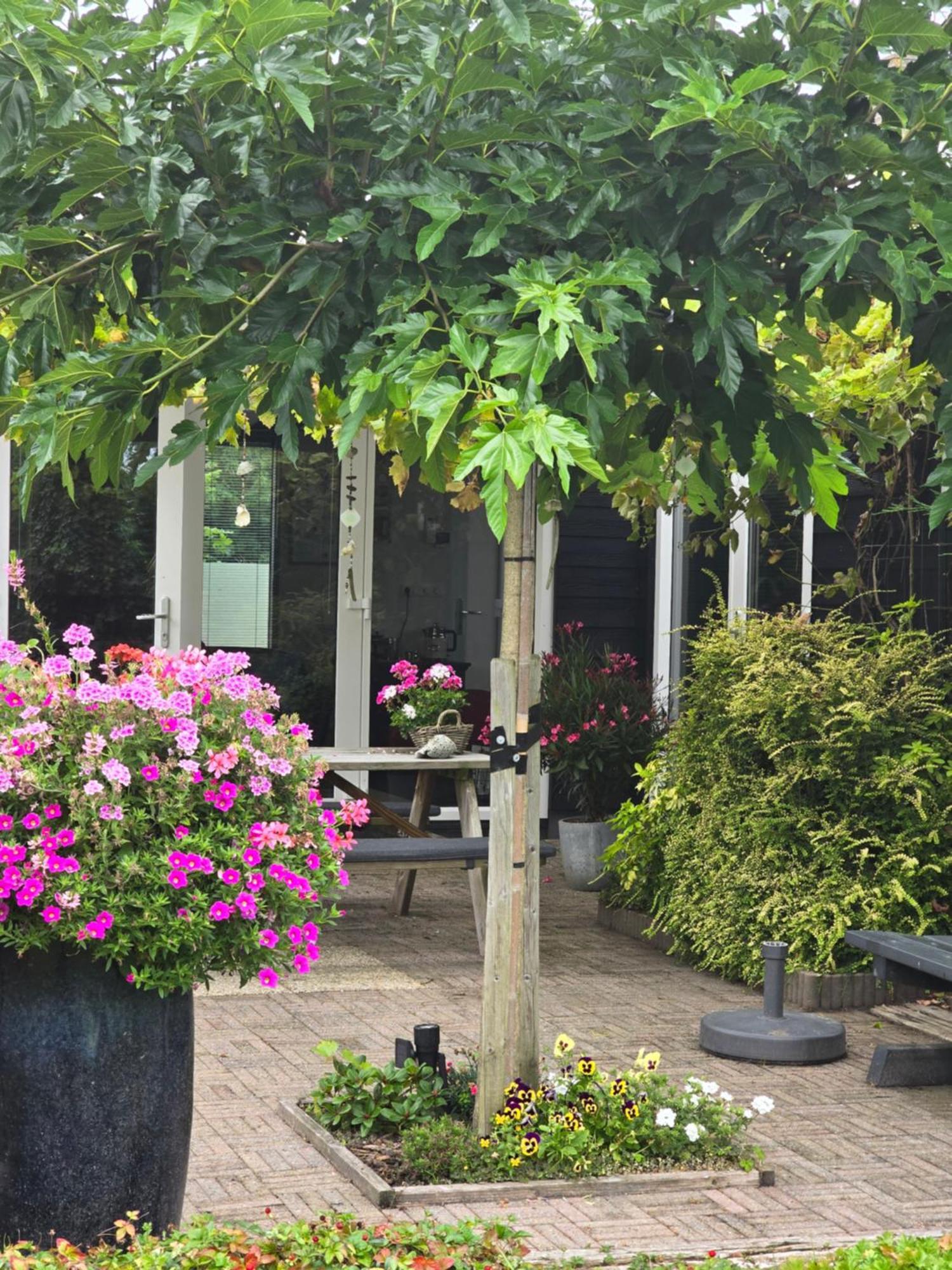 B&B Welkom Zierikzee Bagian luar foto